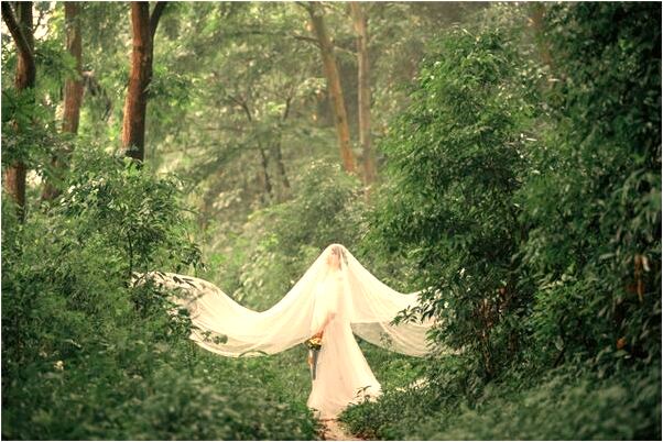 夢到哥哥給我送錢怎么說_周公解夢官網