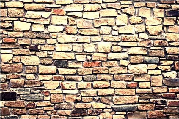 夢見死人身上有白蟲子預示什麼_周公解夢官網