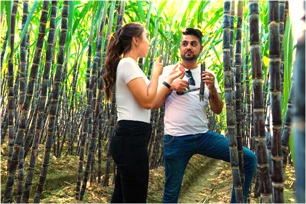 夢到了給別人花很多很多錢有什麼預示嗎_周公解夢官網