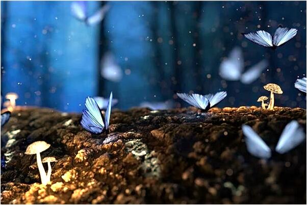 夢到了吃沙琪瑪是什麼預兆_周公解夢官網