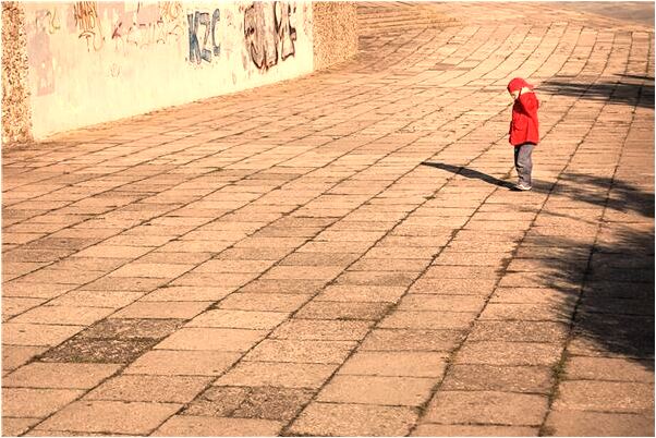 夢見蛇在炕上被到在桶里預示了什麼_周公解夢官網