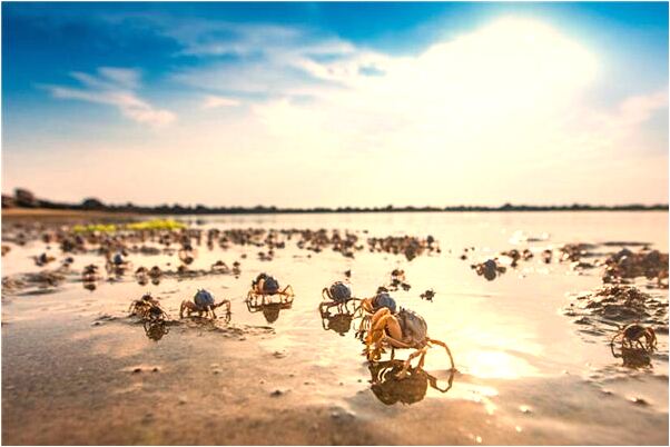 夢到了被人逼供是凶兆還是吉兆_周公解夢官網