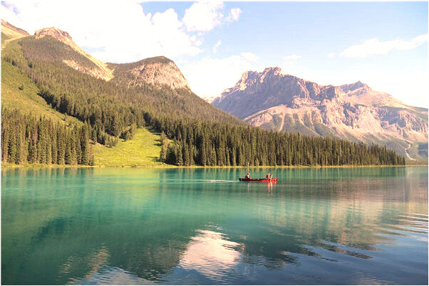 夢到了皇宮一樣餐廳有何寓意_周公解夢官網