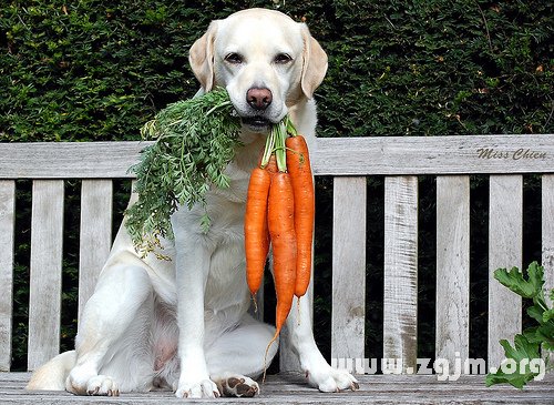 怕伴侶話多的星座男_十二星座