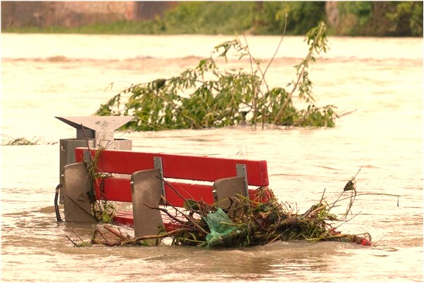 夢到與哥哥摘苦瓜有什麼預示嗎_周公解夢官網