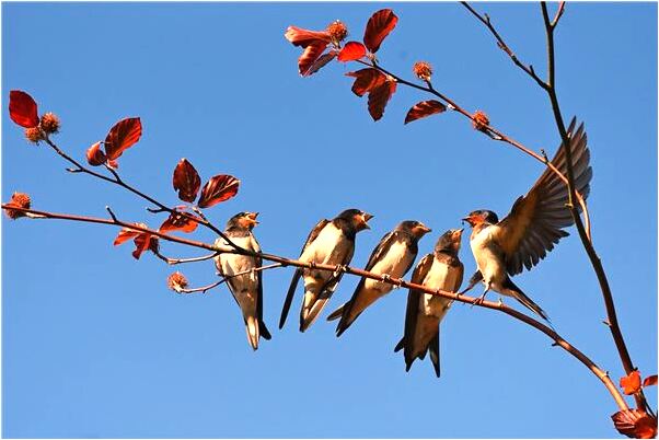夢到鬼火兒什麼寓意_周公解夢官網