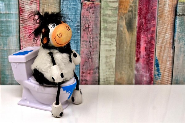 夢見大便拉褲襠預示什麼_周公解夢