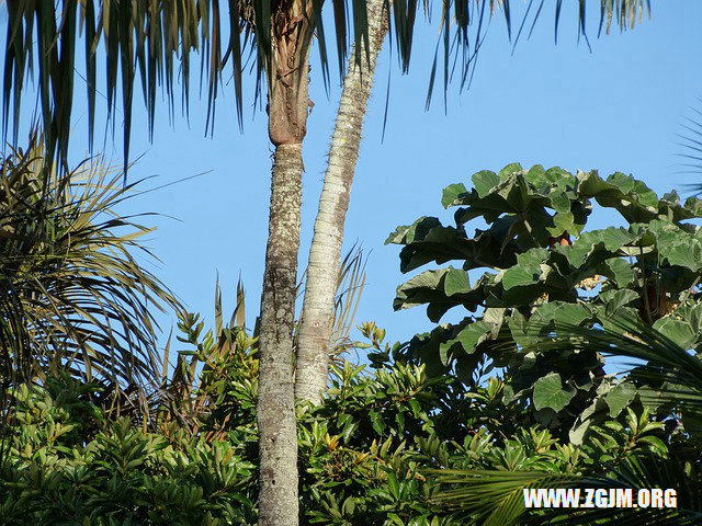 夢見黃河水_周公解夢夢到黃河水是什麼意思_做夢夢見黃河水好不好_周公解夢官網