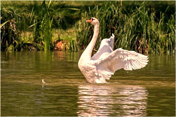 夢見同學聚會不喝酒啥意思_周公解夢官網