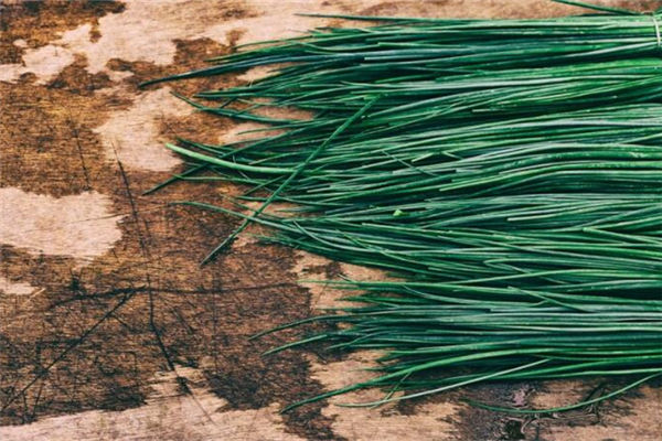 夢見韭菜是要發財嗎_周公解夢