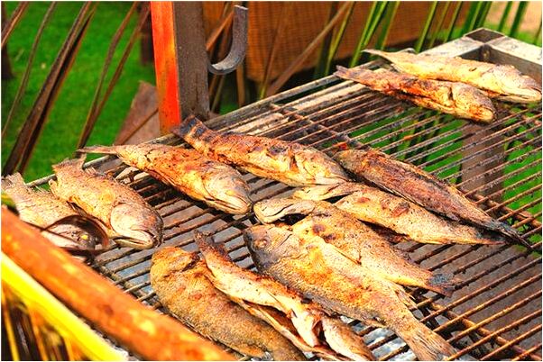 夢見被藏獒追咬什麼預兆_周公解夢官網