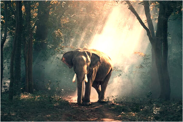 夢到了車輛被搶預示了什麼_周公解夢官網