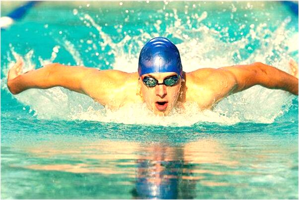 夢到狗把雞冠子咬掉了有什麼說法_周公解夢官網