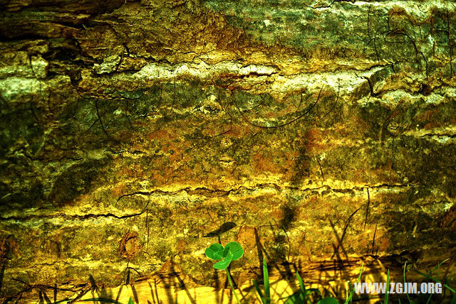 夢見有錢了_周公解夢夢到有錢了是什麼意思_做夢夢見有錢了好不好_周公解夢官網