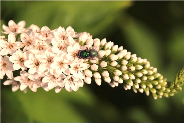 夢見自己穿了一身紅裙子有什麼意思嗎_周公解夢官網
