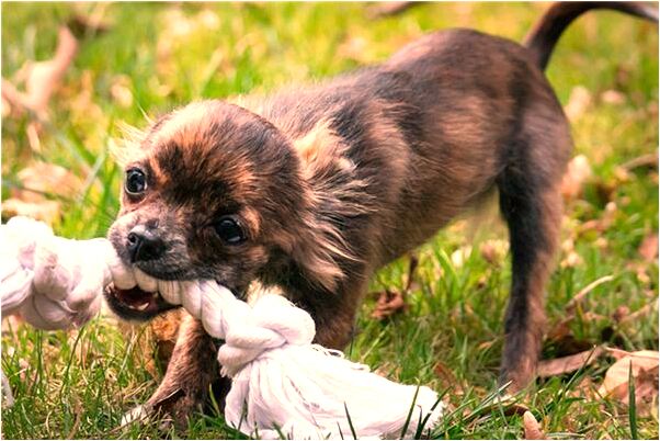 夢到了夢親人被打頭破流血是什麼徵兆_周公解夢官網