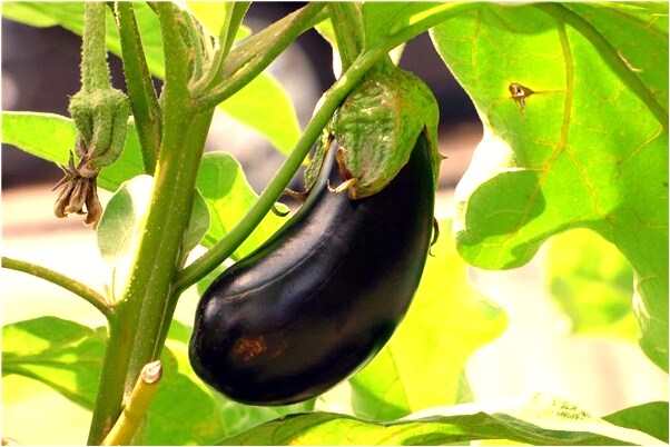 夢到了好多死人和墳是凶兆還是吉兆_周公解夢官網