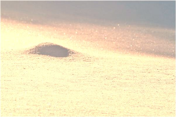 夢見外婆和姐姐去世是什麼意思_周公解夢官網