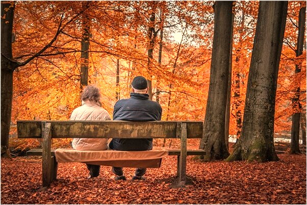 夢見車翻但人沒事有什麼含義_周公解夢官網