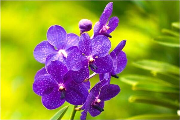 夢見當眾換褲子是什麼意思？_周公解夢官網