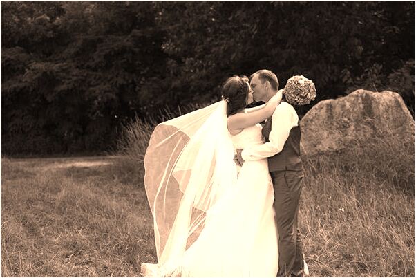 夢到桑子還帶回家代表什麼_周公解夢官網