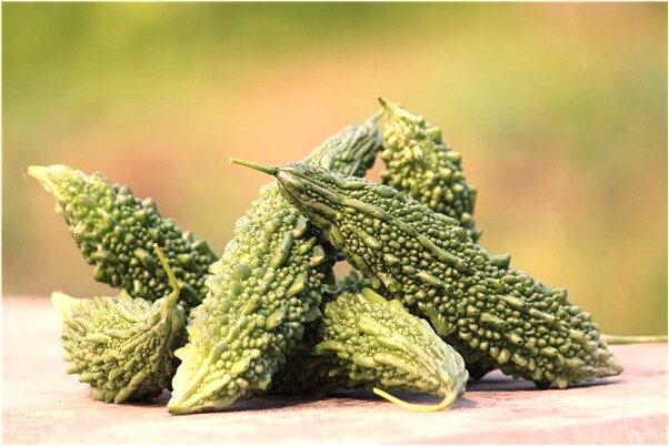 夢到水裡有好多狗有什麼預兆_周公解夢官網