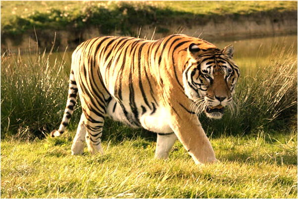 夢到被親人勒索是好事還是壞事_周公解夢官網