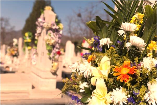 夢到分解老虎有什麼說法_周公解夢官網