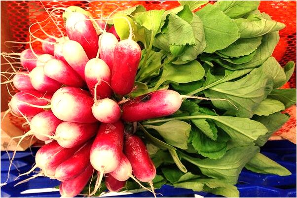 夢到了摘爛梨又不要是什麼意思？_周公解夢官網