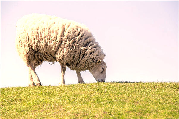 夢到了自己掉進清澈的水裡有什麼意義嗎_周公解夢官網