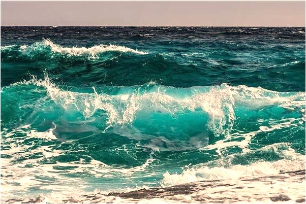 夢見蛇和死人有什麼寓意嗎_周公解夢官網