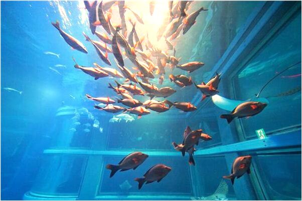 夢見跟女生親嘴預示什麼_周公解夢官網