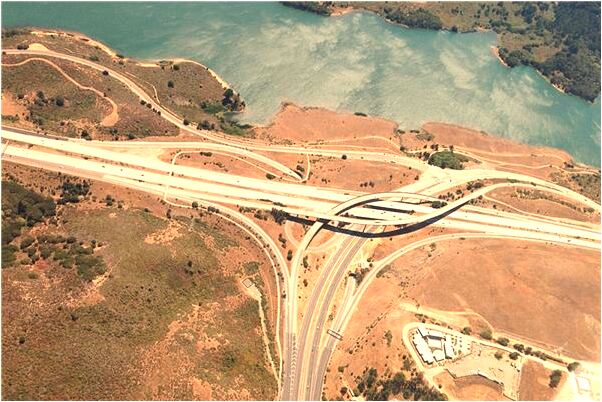 夢到熊追羊預示什麼_周公解夢官網