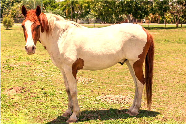 夢見跳崖人有什麼意思嗎_周公解夢官網