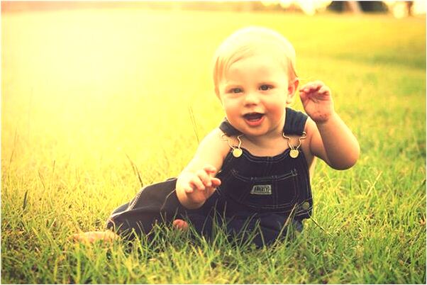 夢到了蚊帳里蝴蝶飛有什麼說法_周公解夢官網