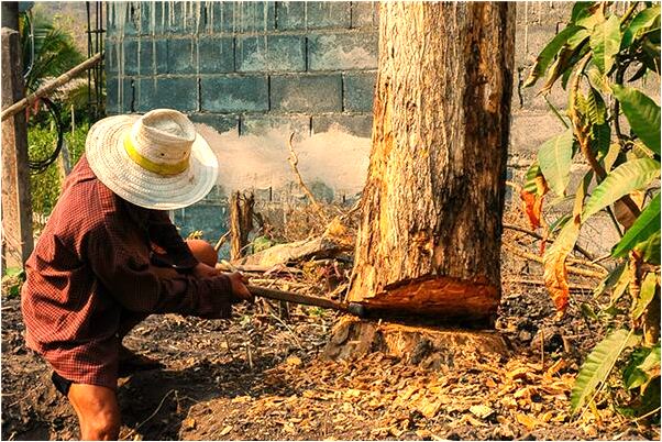 夢到坐車裡被天窗壓著意味著什麼_周公解夢官網