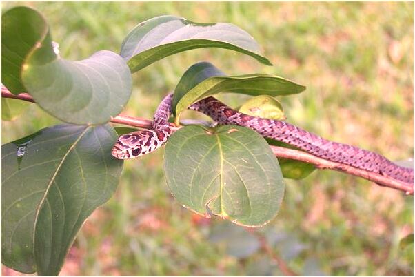 夢見有人流淚是好是壞_周公解夢官網