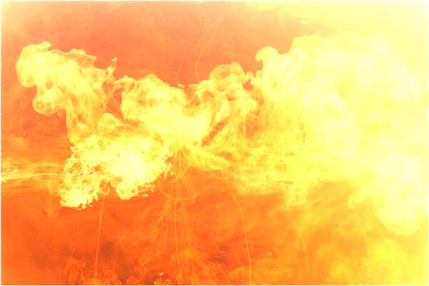 夢到捉土元意味著什麼_周公解夢官網