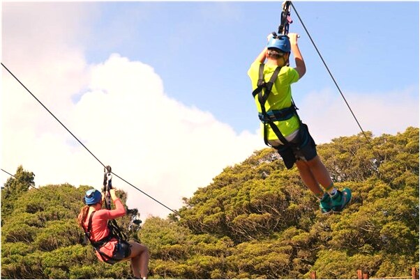 夢到別人長癌症有什麼說法_周公解夢官網
