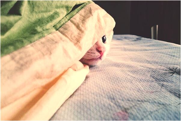 夢到了買搓臉油會是什麼預兆_周公解夢官網