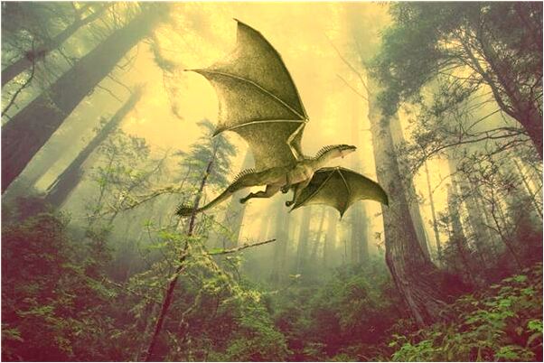 夢見黑黃相間的蛇竄入房間怎么樣_周公解夢官網