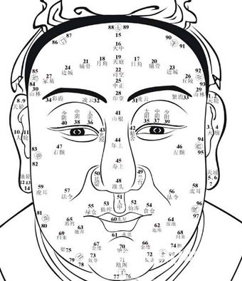 Face forehead diagram of fortune tellers