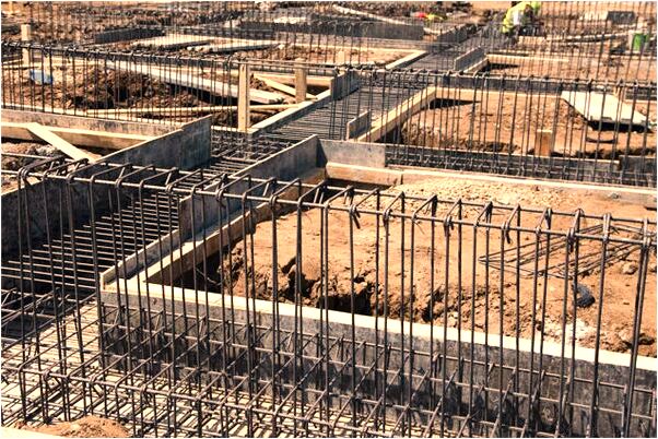 夢見養貓的陌生人有什麼意思_周公解夢官網