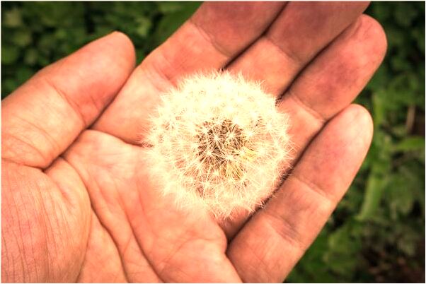 夢到了與妻離婚是凶兆還是吉兆_周公解夢官網