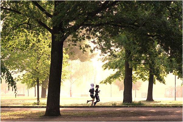夢到了鴕鳥飛和它下了一顆蛋預示了什麼_周公解夢官網