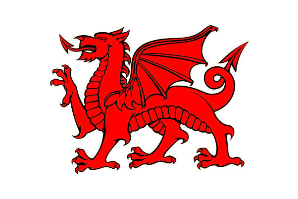 夢到了雙腳爛了流水休克是凶兆還是吉兆_周公解夢官網