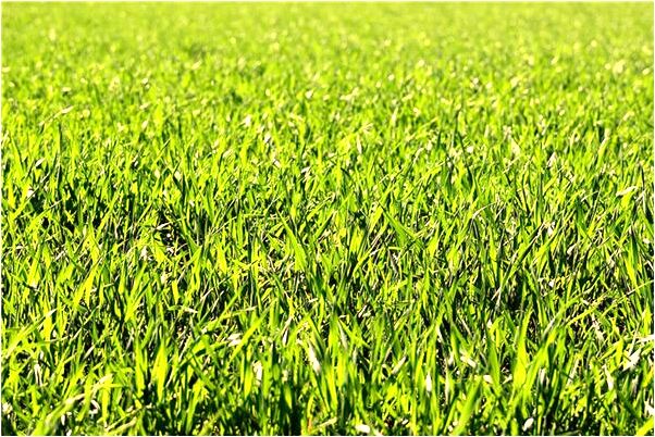 夢到事業時好時壞意味著什麼_周公解夢官網