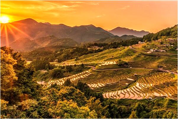 夢見在游泳時有蛇是吉兆嗎?_周公解夢官網