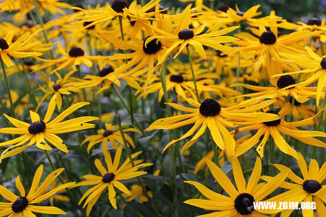 夢見水浪撲過來_周公解夢夢到水浪撲過來是什麼意思_做夢夢見水浪撲過來好不好_周公解夢官網
