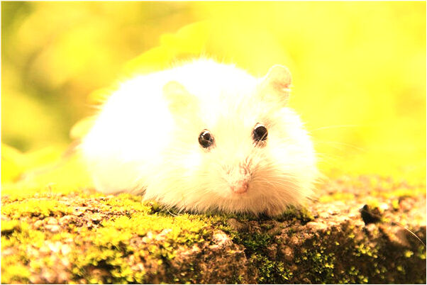 夢到腿上有個能見血肉的大洞意味著什麼_周公解夢官網